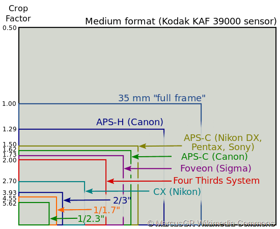 Diagram of different Sensor sizes