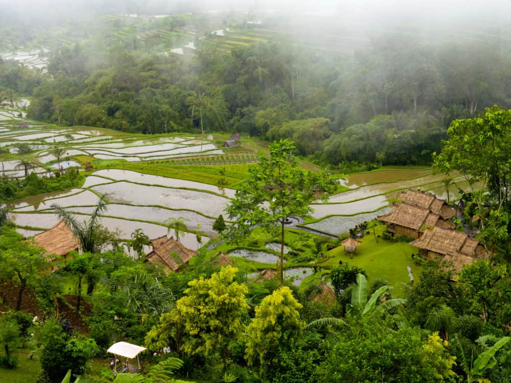 View over several flooded rice fields, with thatch-roofed houses visible nearby. Low cloud/fog at top of picture.