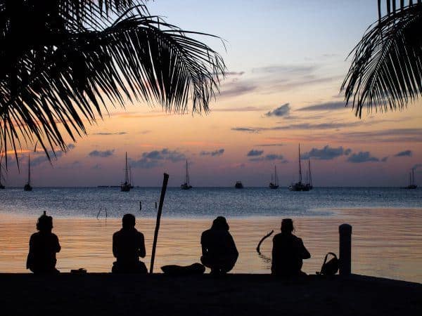 Silhouettes of people under palm trees at sunset, looking out over water