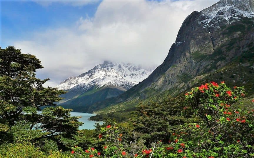 Patagonia view