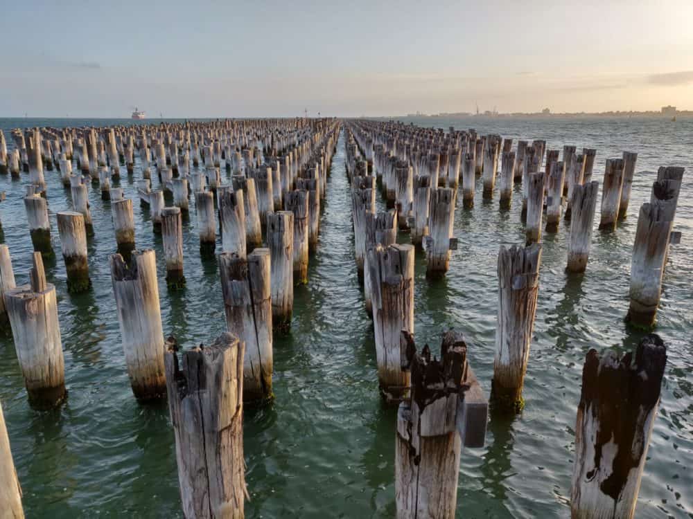 Stumps of an old pier in a row out into the water at sunset