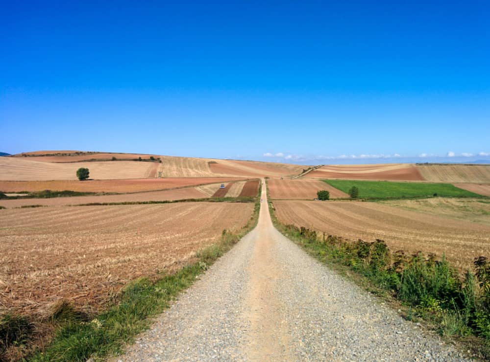 Camino empty road