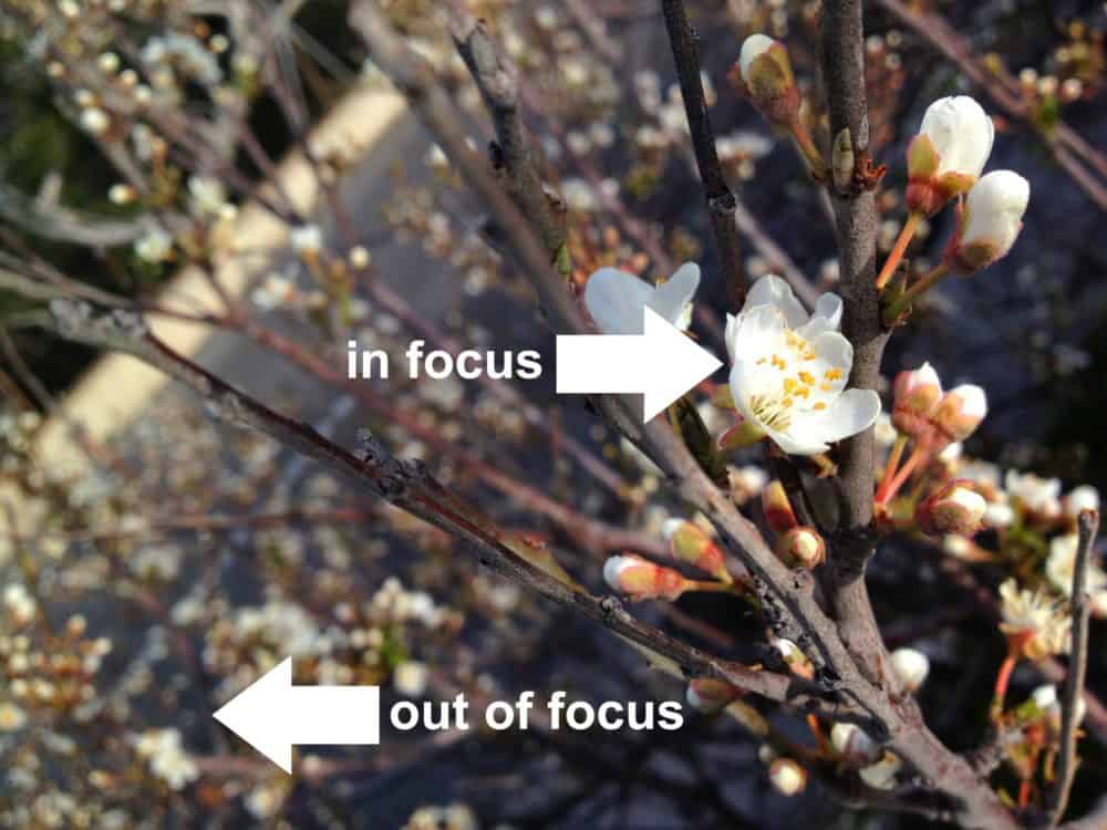 In focus vs out of focus